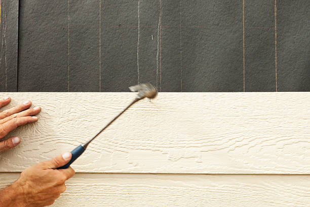 Best Custom Trim and Detailing for Siding  in Mino Tassajara, CA